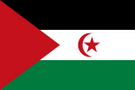 флаг Сахарская Арабская Демократическая Республика